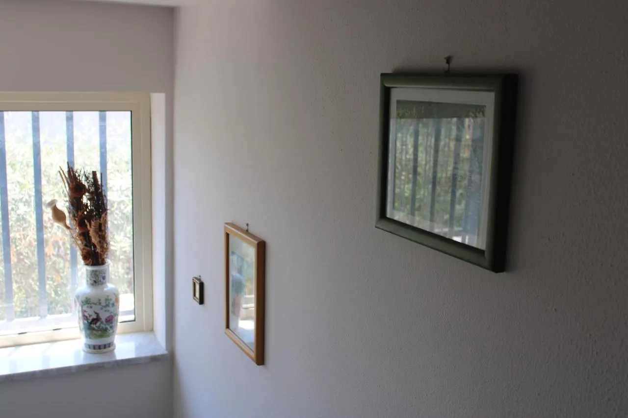 קטאניה Villa Sicilia Apartment 0*,